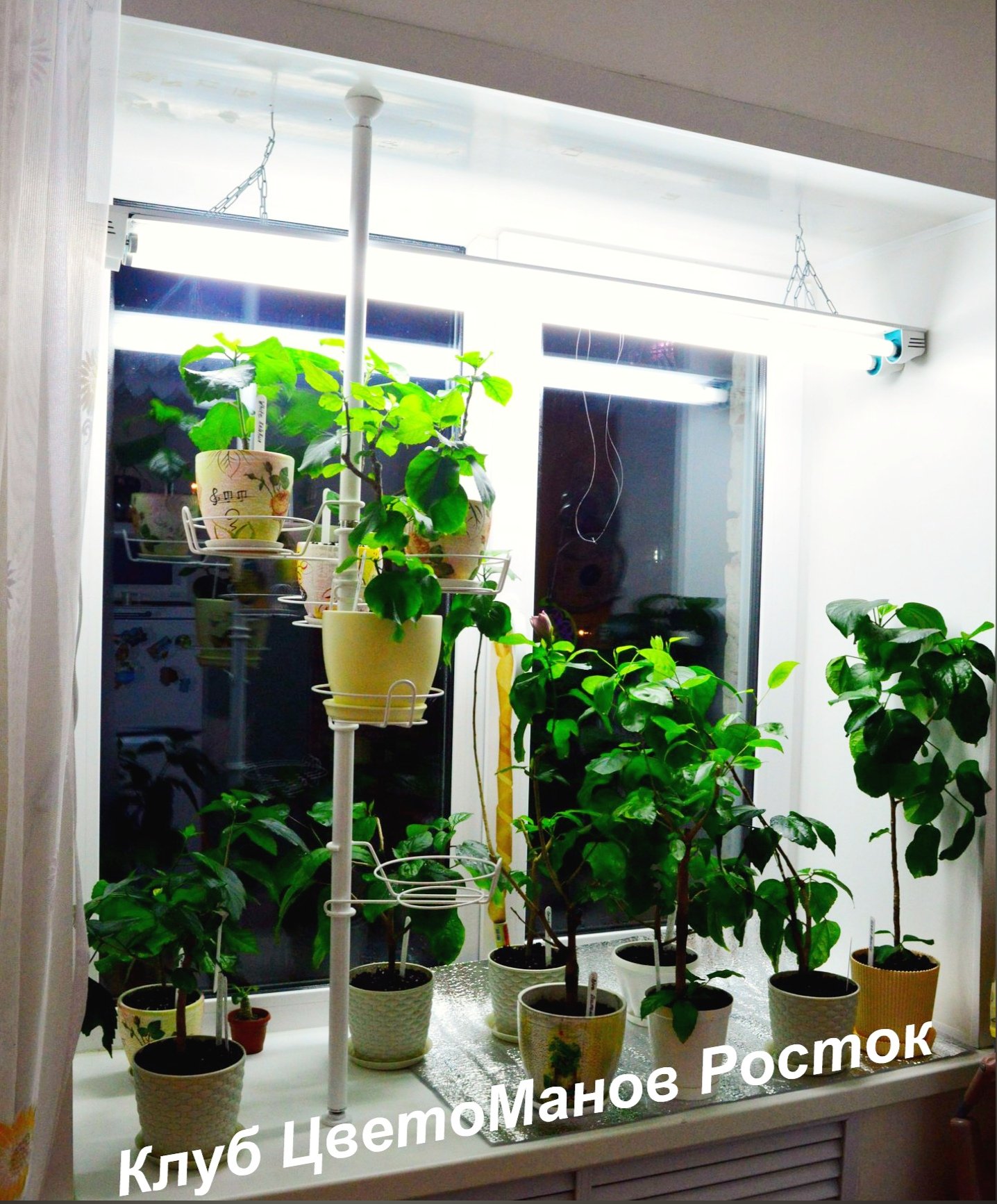 распорка для крупных растений на окно. Фото N7